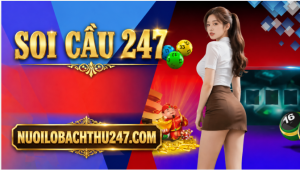 soi cầu 247