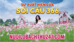 soi cầu 366