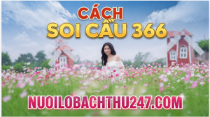 cách soi cầu 366
