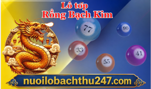 lô tốp rồng bạch kim