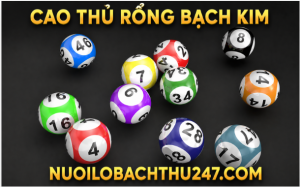 cao thủ rồng bạch kim