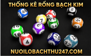 thống kê rồng bạch kim