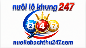 nuôi lô khung 247