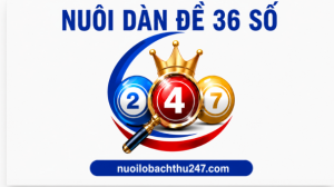 Nuôi dàn đề 36 số