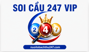 soi cầu 247 VIP