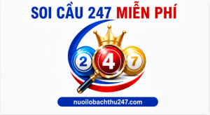 Soi Cầu 247 Miễn Phí