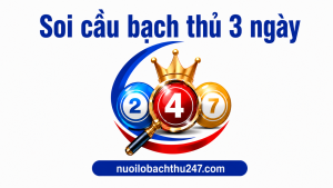 soi cầu bạch thủ miền Bắc 3 ngày