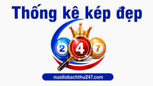 Thống kê kép đẹp
