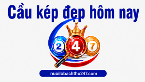 cầu kép đẹp hôm nay