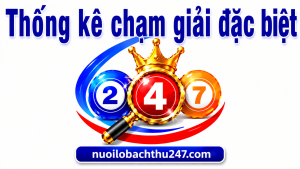 Thống kê chạm giải đặc biệt