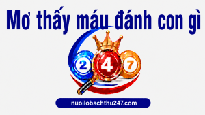 Mơ thấy máu đánh con gì đây