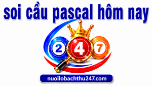 Soi cầu Pascal hôm nay