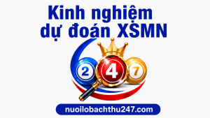 dự đoán XSMN