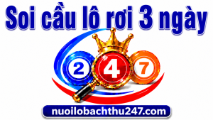 soi cầu lô rơi 3 ngày