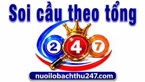 soi cầu theo tổng