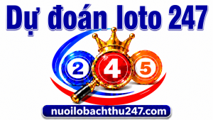 Dự đoán lô tô 247 hôm nay