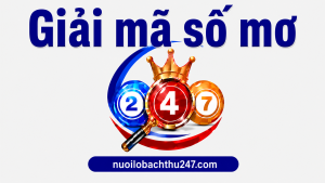 mơ thấy rắn đánh số gì