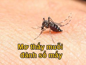 Dự đoán XSMT ngày 10/10/2026